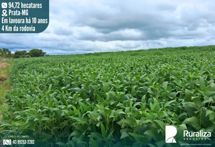 Lavoura Consolidada à Venda | Região de Prata MG | 94,72 ha