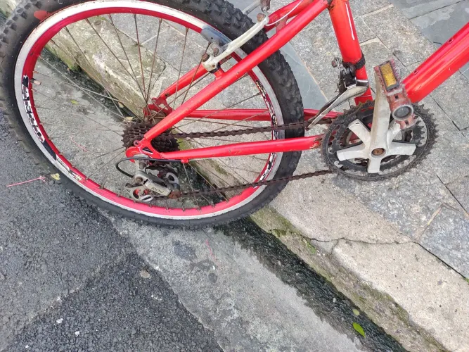 Biciceta aro 24