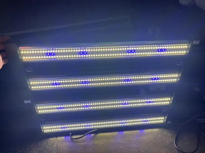 Lâmpada LED Quantum Barra PRO 240W - Cultivo/Grow