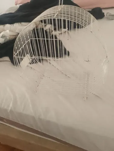 Vendo gaiola