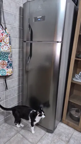 Geladeira Electrolux Frost Free 310L Inox (TF39S) - 127V - Excelente Estado!