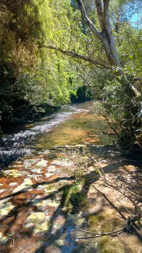 Vendo 2 Terrenos com Riacho para Sítio em Alfredo Wagner/SC | Ideal para Cabanas Airbnb