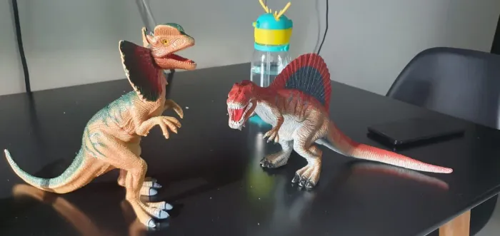 Combo dinossauros 