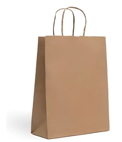 Sacola Kraft 24x31x10 50unidades