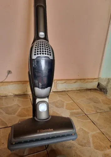 Aspirador de pó Electrolux Erg4