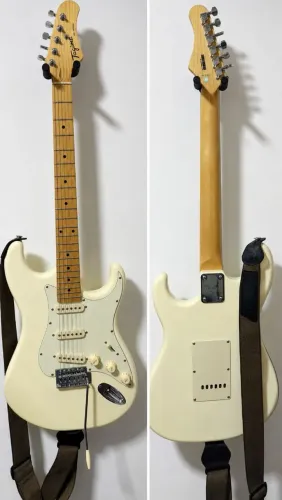 Guitarra Tagima TG 530 Woodstock