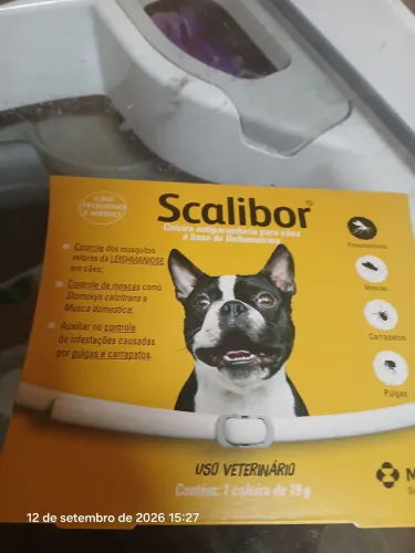 Coleira pet scalibor
