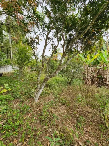 Chácara vila Nova Aparecida