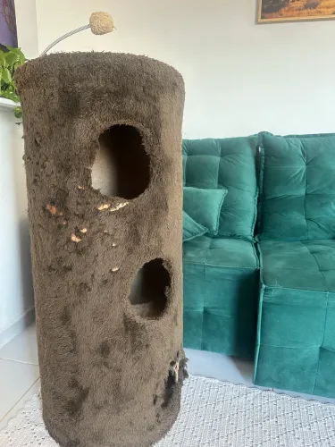 Arranhador de gato