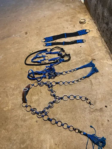 Traia de frente para cavalo/burro
