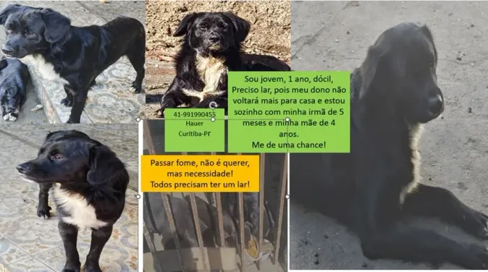 Doação 