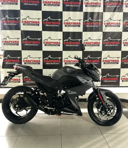 Kawasaki Z 300 2016