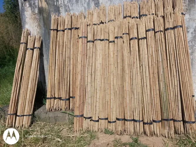 Bambu varas bandeira