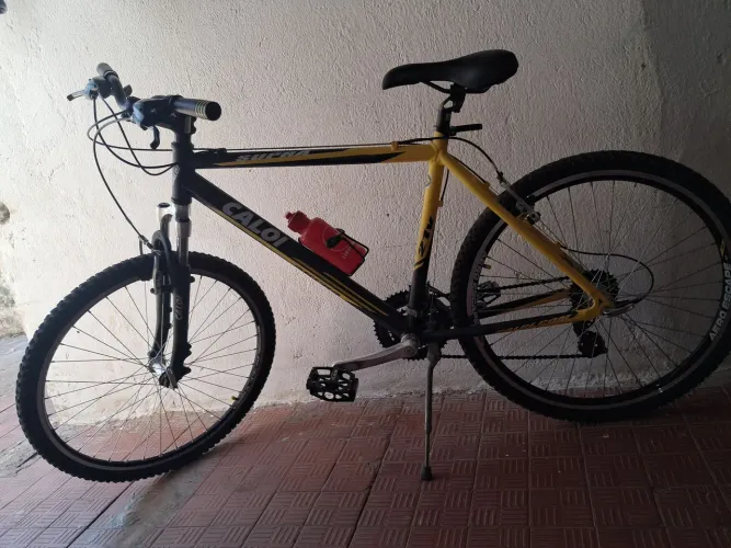 Bicicleta