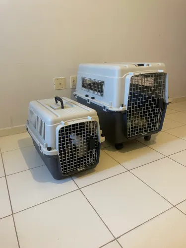 Caixas Transporte Pets