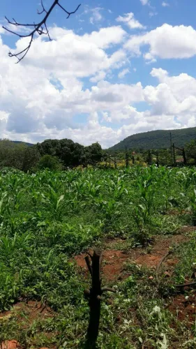 Chácara na estrada da produção