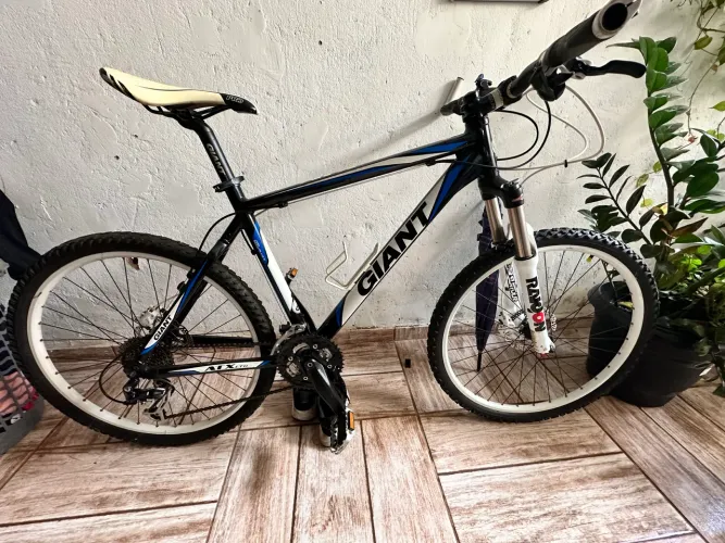 Bike Giant 