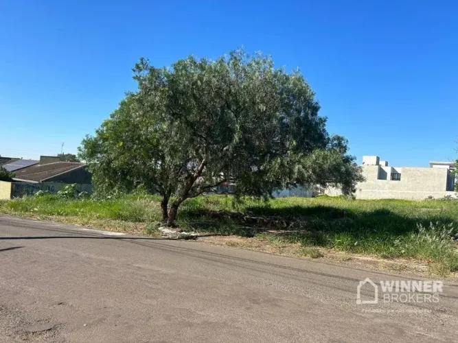 Terreno à venda, 484 m² por R$ 515.000,00 - Jardim Real - Maringá/PR