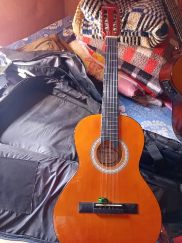 Viola semi nova