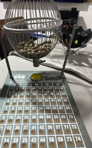 Bingo 