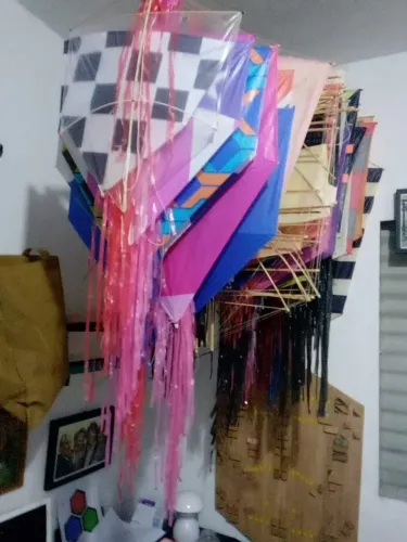 150 pipas de xepa tamanhos variados