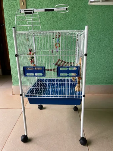 viveiro  Bragança Plus, para calopsitas