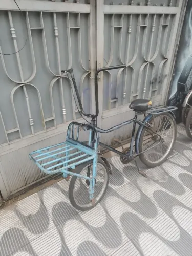 Bicicleta cargueira 