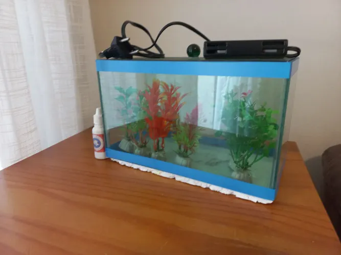 Aquario de Vidro com Aquecedor