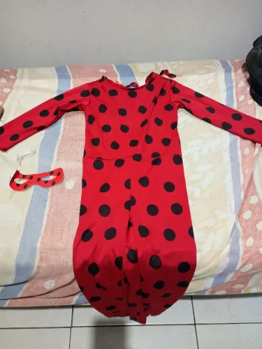 Fantasia Ladybug (Tam: GG, veste até o 15)