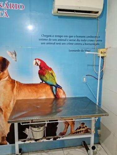 Consultório veterinário com banho e tosa pronto pra começar a funcionar.r.