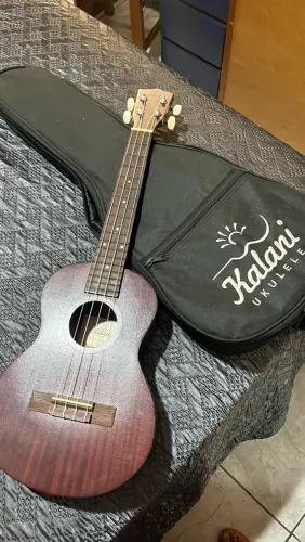 Ukulele à venda - Ótimo estado | Pronto para tocar