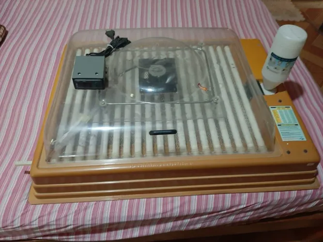 Chocadeira Premium ecológica 