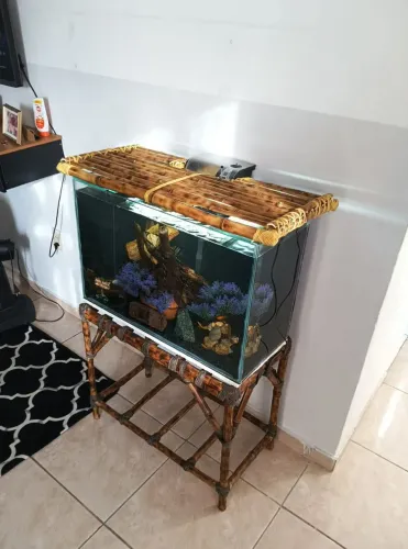 Aquário