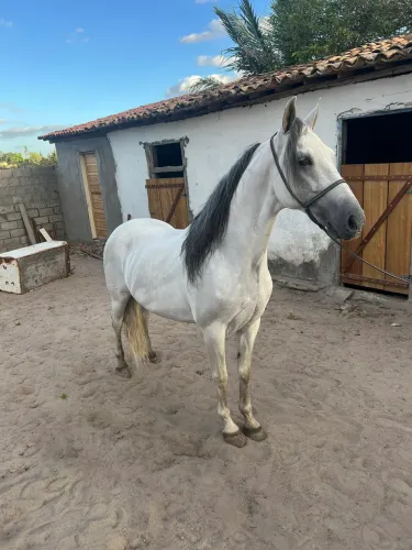 Vende-Se