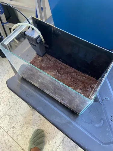 Aquário de engorda ou hospital com bombinha
