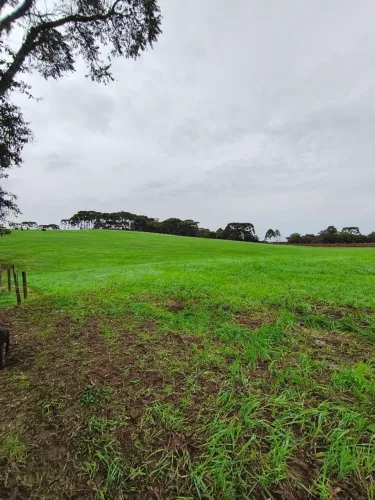Chácara a 3 km de Curitibanos