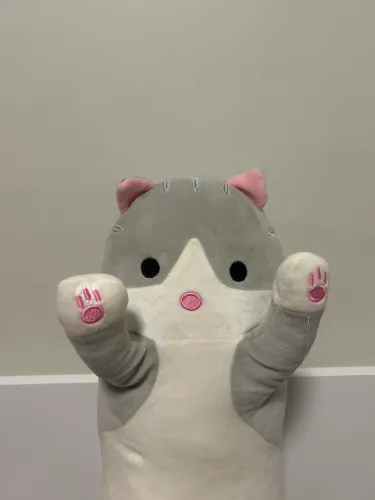 Pelúcia de Gato Grande