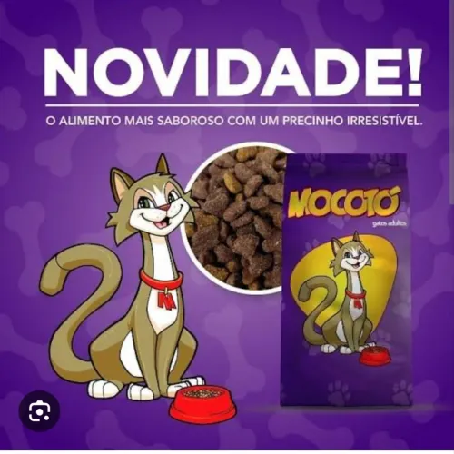Ração gato 