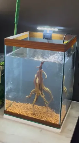 Aquário Cubo 36L