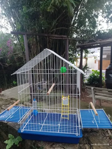 Gaiola para calopsita