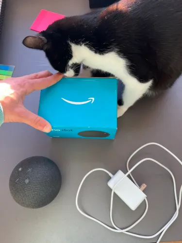 Alexa - Echo Dot 5