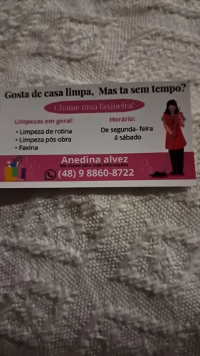 gosta de casa limpa chama anedina 