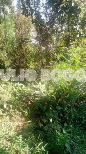 Ilha do Governador - Cacuia - VENDA - Terreno - JBI82482