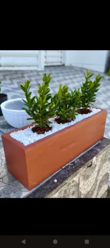Jardineira com mini exsoria vermelha 