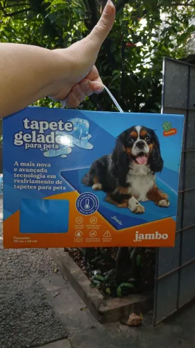 Tapete Gelado