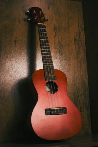 Ukulele Concert Elétrico