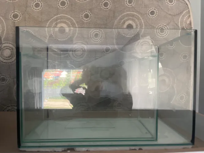 Aquário de 17,5L e aquário de 32,4L