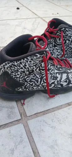 Jordan zebra 
