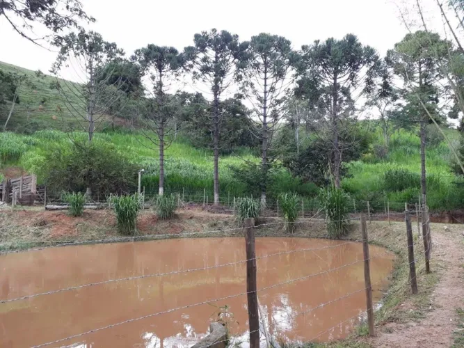Sítio de 30 hectares com ótima topografia e curral completo em Redenção da Serra/SP.