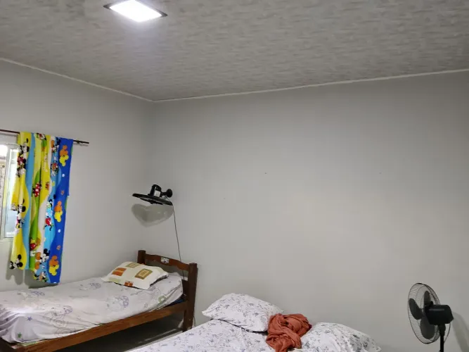 Pinturas em geral